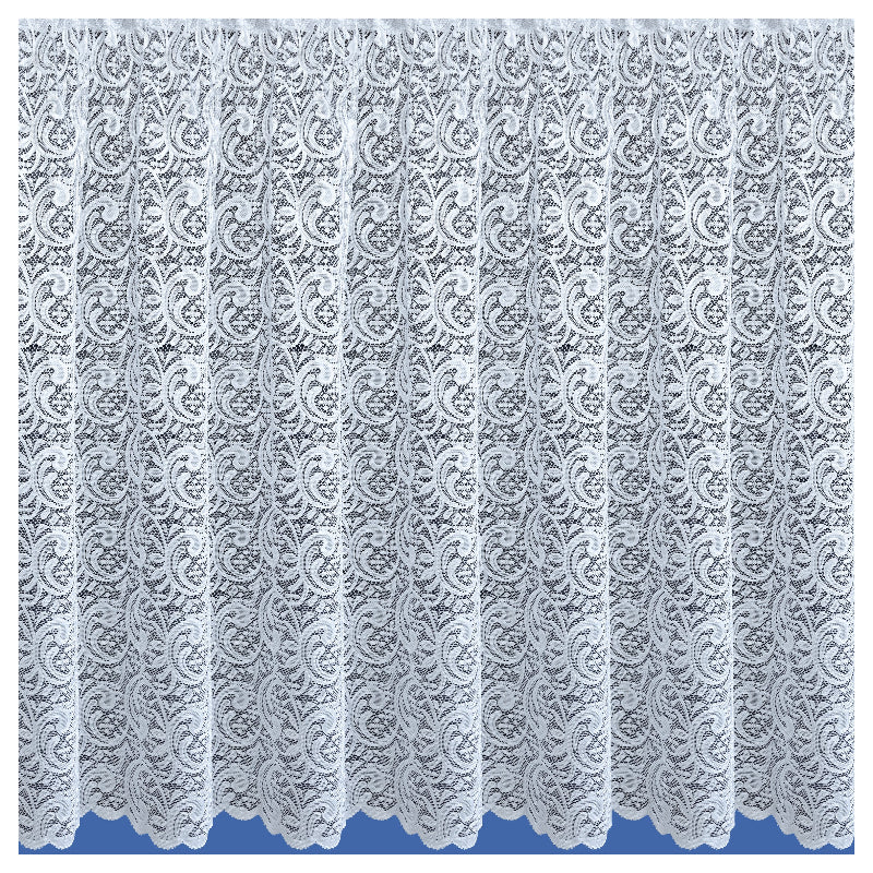 Salisbury Net Curtain